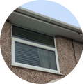 Domestic Window Cleaning